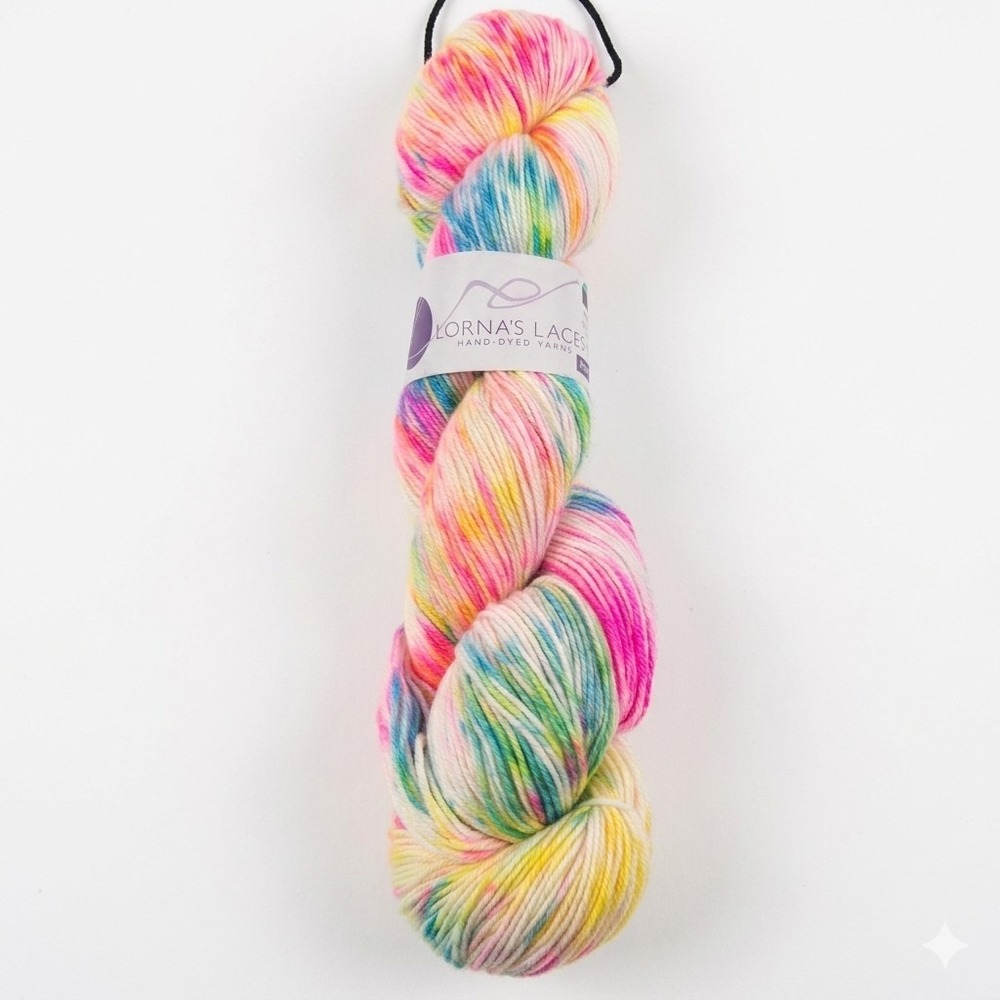 Lorna's Laces Handyed Yarns 55% Merino 15% Nylon 30% Viscose 100g Color Zoe